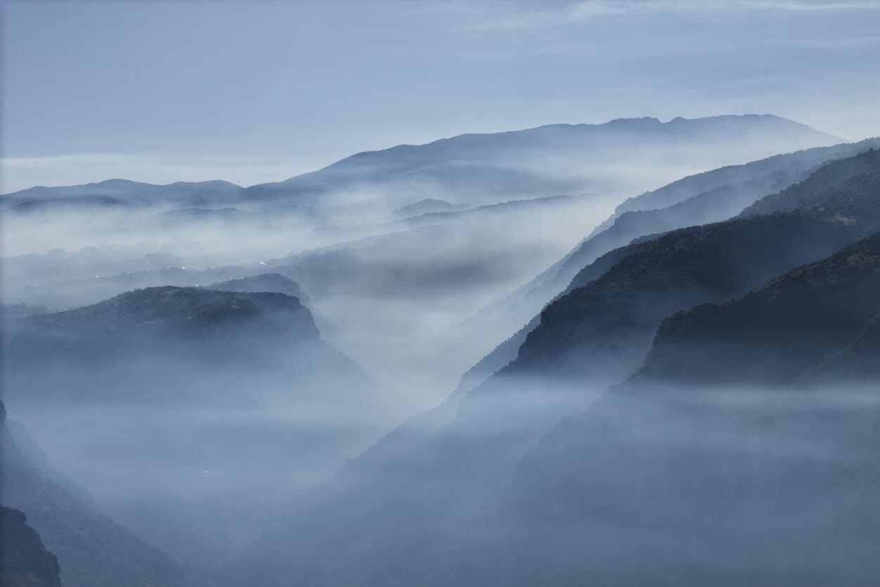 بالصور والفيديو - الحرائق في غابات وادي جهنم تخطت الـ50 هكتارا